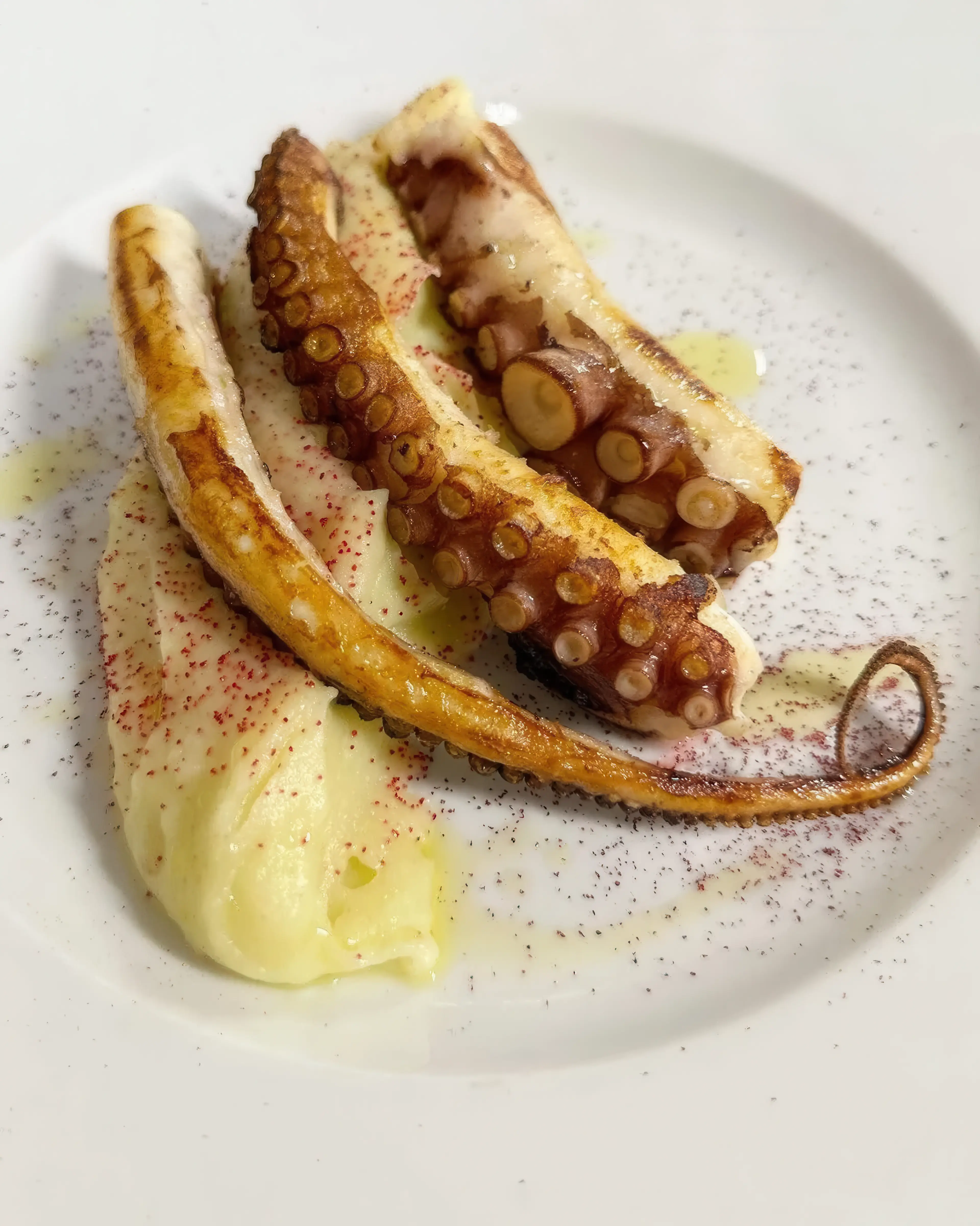 Polpo piastrato con morbido di patate affumicate e polvere di barbabietola